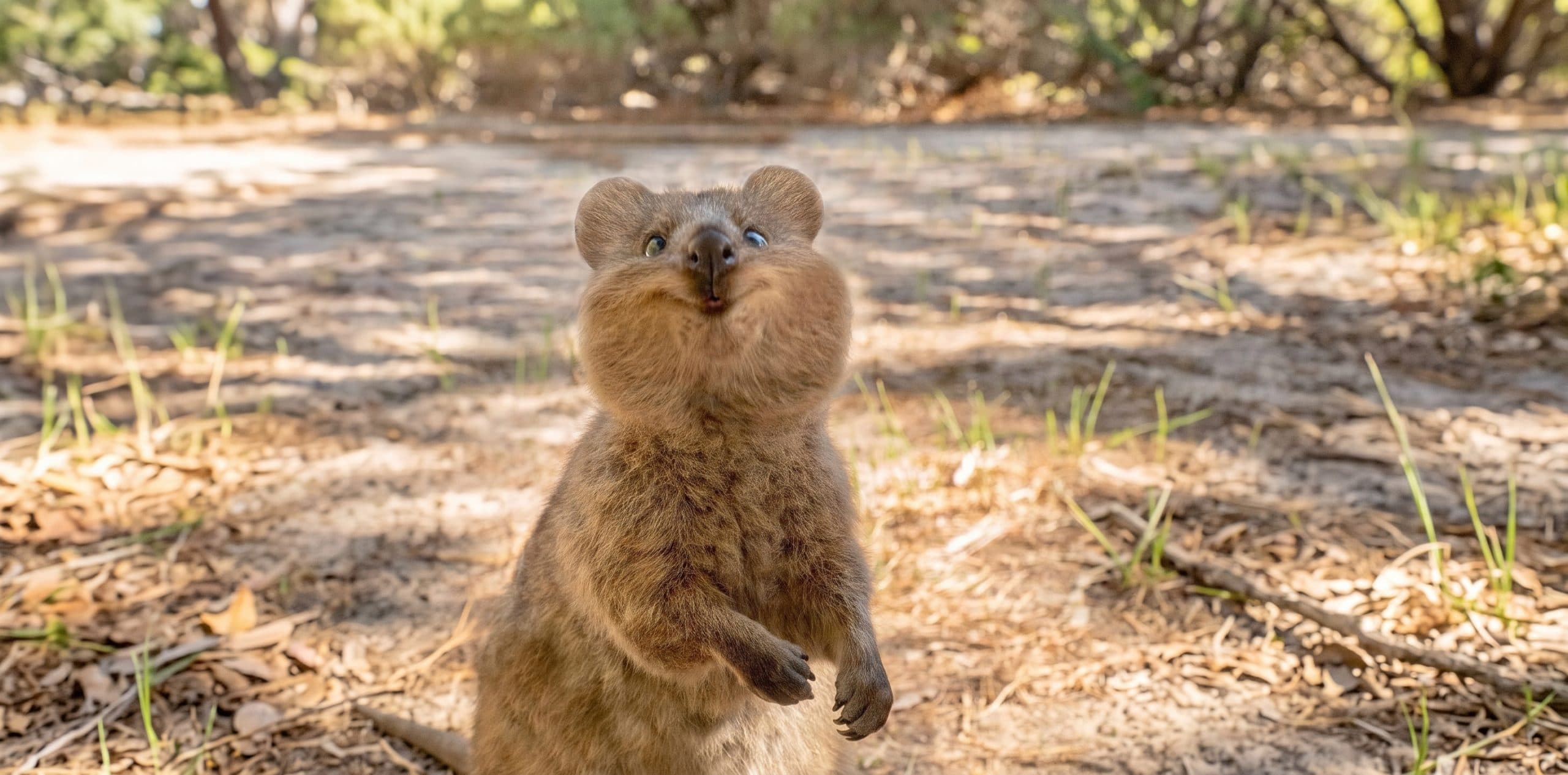 Cosas excéntricas de Australia que no encontrarás en otro lugar