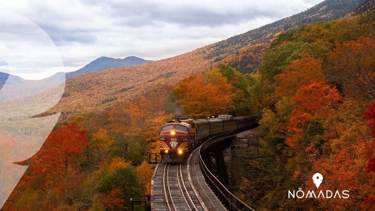 Vivir New Hampshire