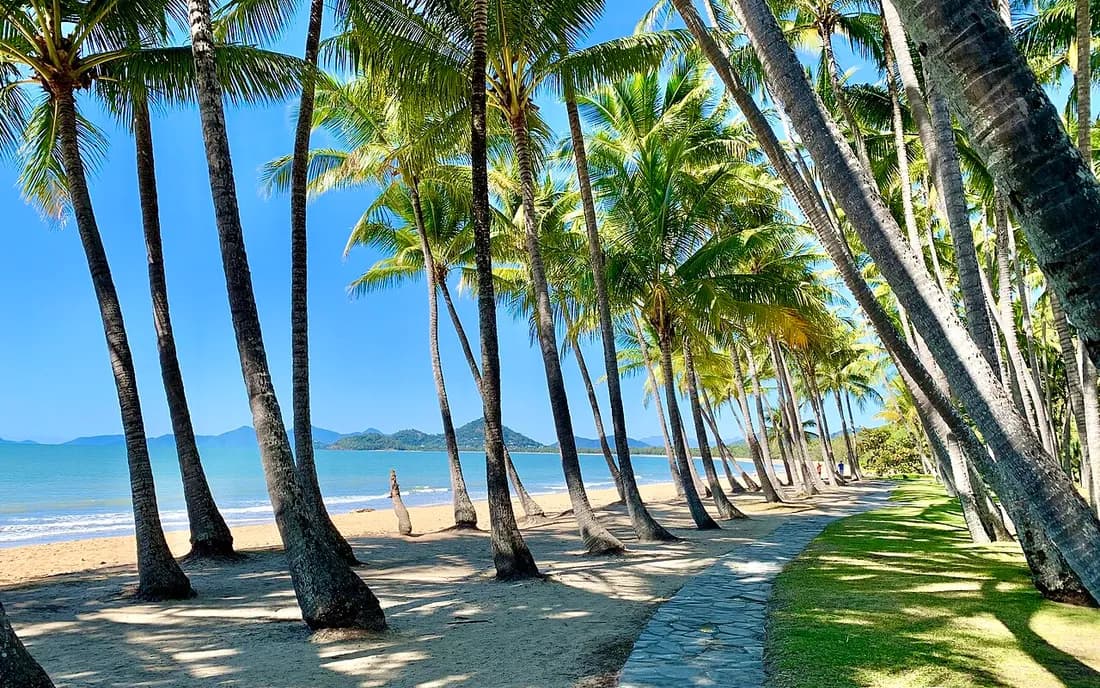 Vista de Palm Cove