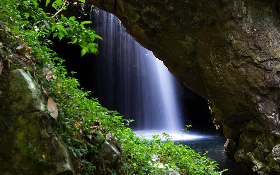 Vista de Springbrook National Park