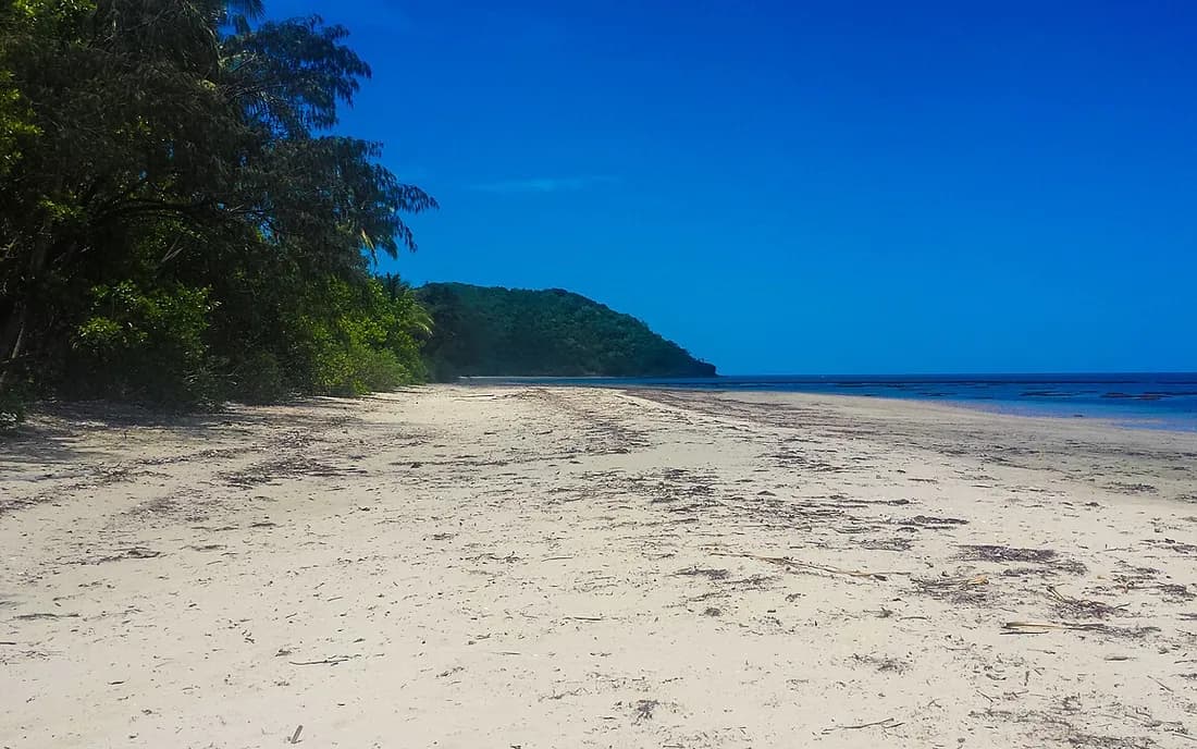 Daintree and Cape Tribulation