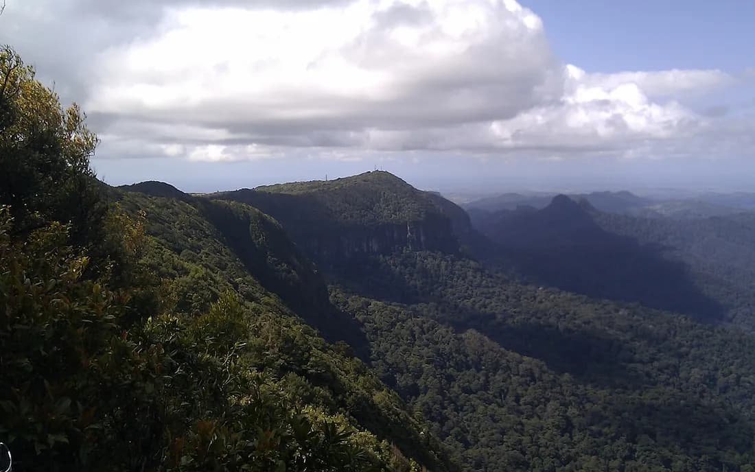 Vista de Springbrook National Park