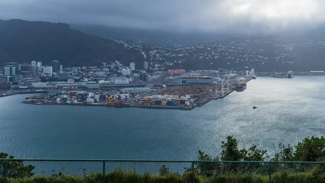 Puerto y colinas de Wellington bajo un cielo nublado