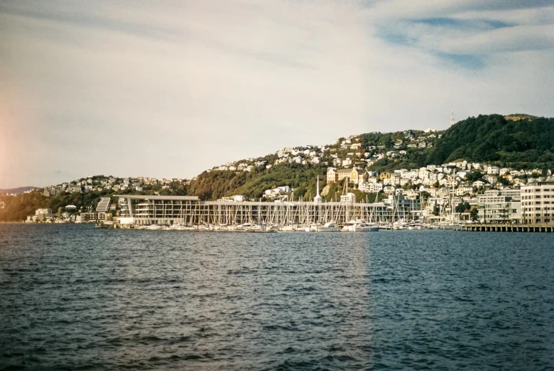 Frente costero y casas en las colinas de Wellington