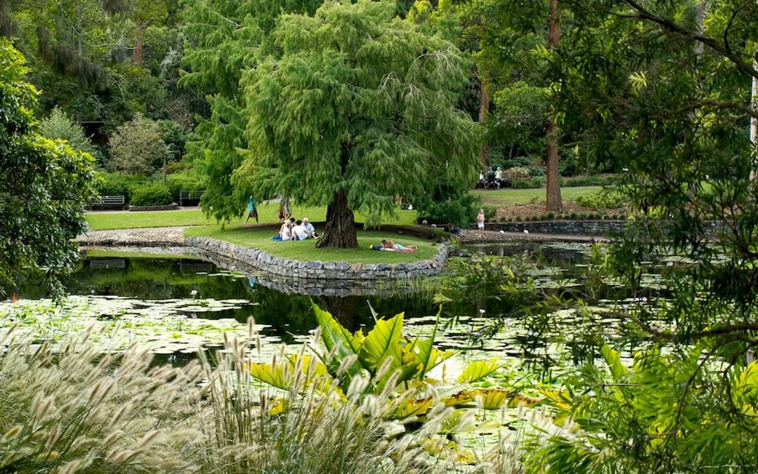 Mount Coot-tha