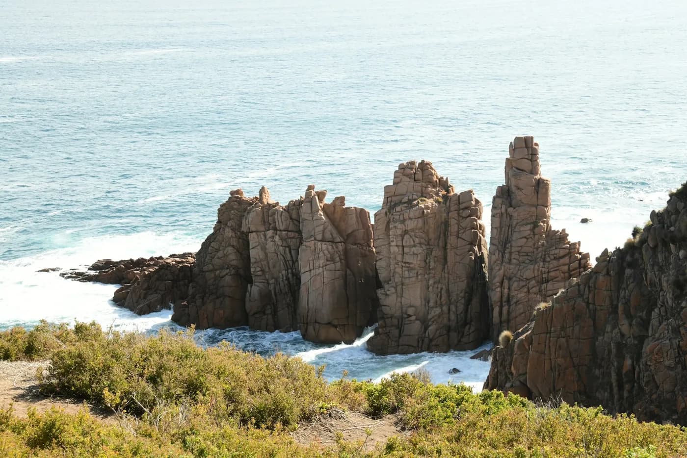 Desfilada de pingüins de Phillip Island