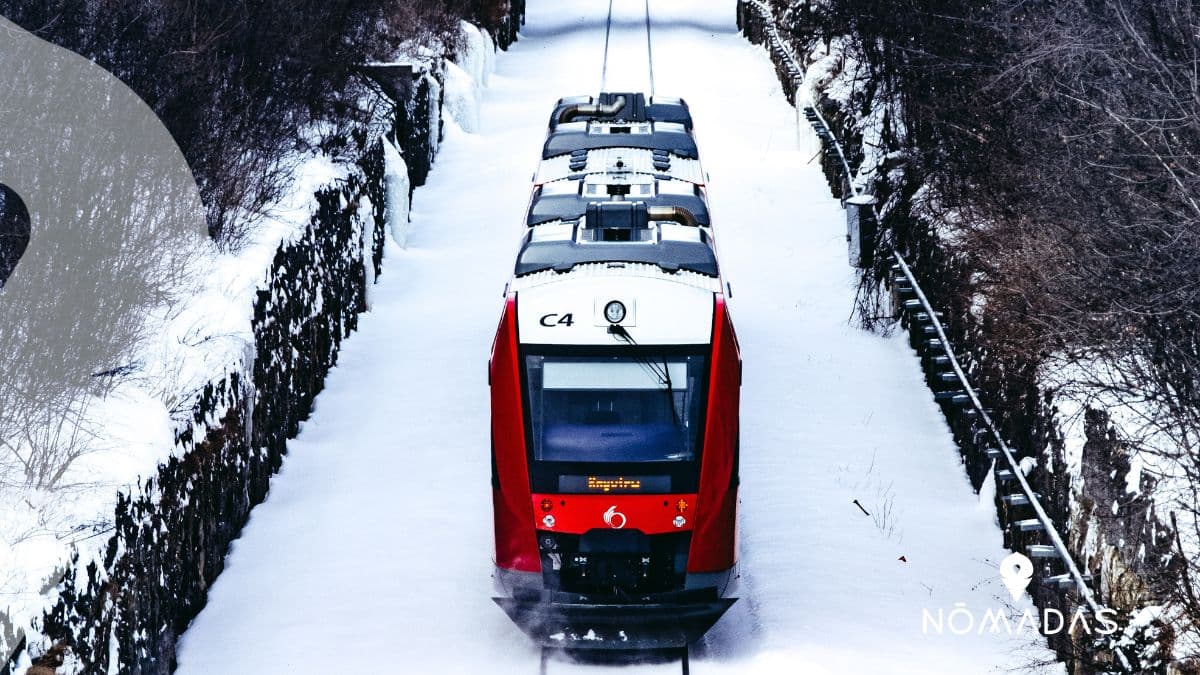 Transporte publico en Toronto .- Muévete como un local