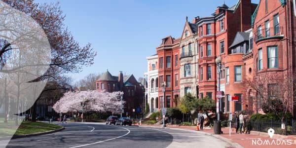 Algunas desventajas de la vida en Washington DC