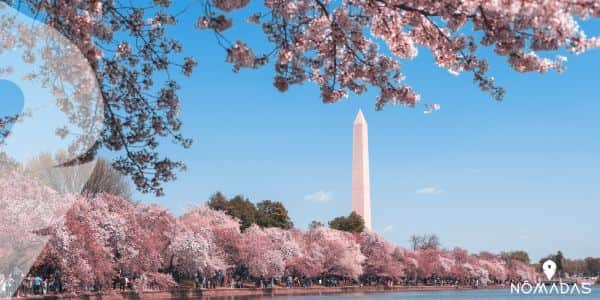 Clima en Washington DC