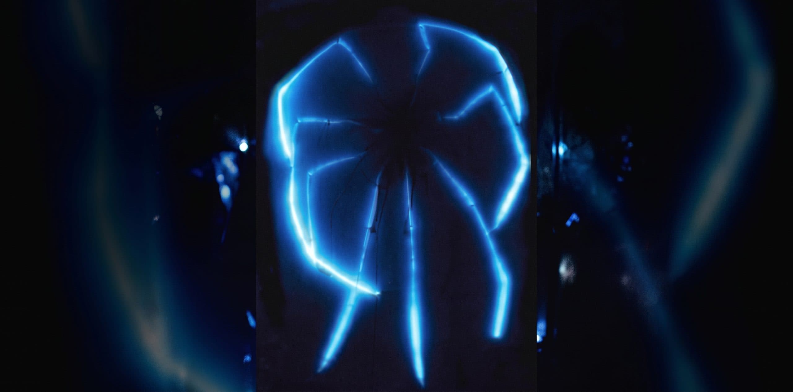Arañas marinas bioluminiscentes: las gigantes del abismo que encienden sus patas en azul