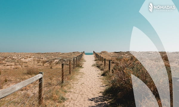 Características de las mejores playas de Australia