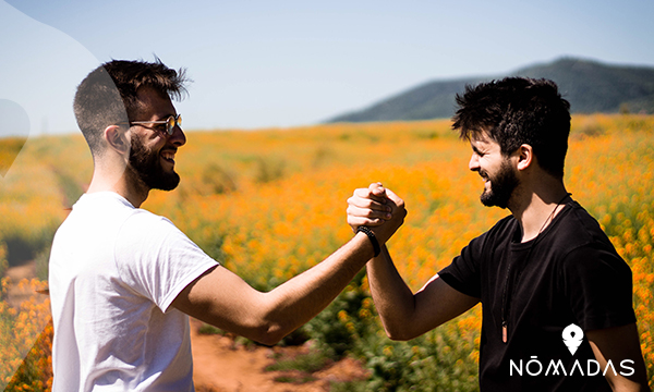 ¿Cómo es la vida en Nueva Zelanda?