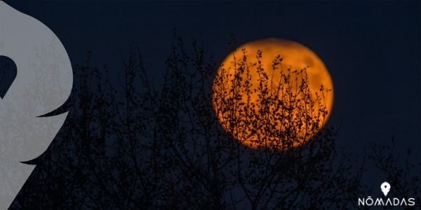 ¿Cómo llegó la festividad de Halloween a Norteamérica?