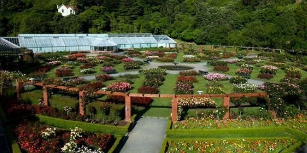 2- Jardines botánicos nacionales australianos