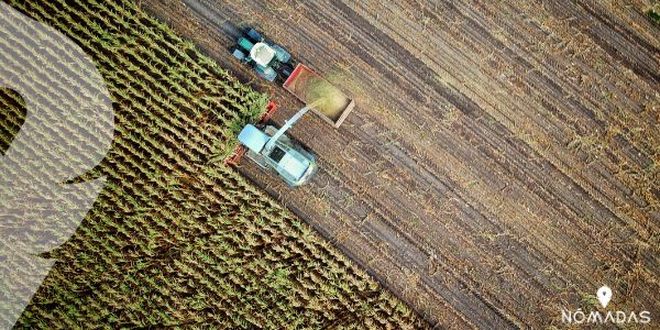 Oportunidades de empleo sin requerir experiencia - Agricultura