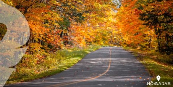 Vivir En Michigan Estados Unidos - Guía Completa Para Emigrar - Nomadas